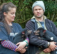 devilscradle - Accommodation Southport