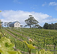 Bruny Island Premium Wines Bar and Grill - Southport Accommodation