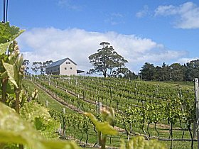 Bruny Island Premium Wines Bar And Grill - Accommodation Southport 0