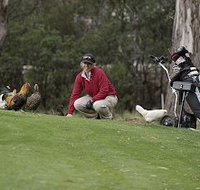 Tasmania Golf Club - The - Southport Accommodation