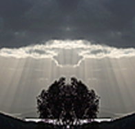 aart. Gallery of Fine Art - Southport Accommodation