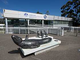 Australia's Antarctic Headquarters - Southport Accommodation 0