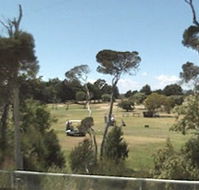 Greens Beach Golf Course - Accommodation Southport