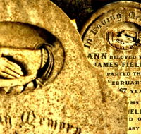 Penguin General Cemetery - Accommodation Southport