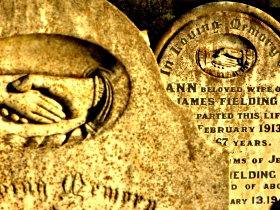 Penguin General Cemetery - Southport Accommodation 0