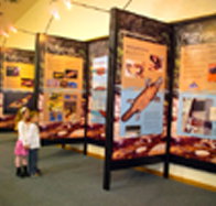 Platypus Experience - Accommodation Southport