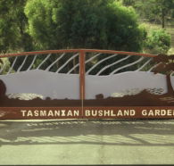 Tasmanian Bushland Garden - Accommodation Southport