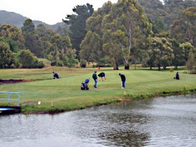 Penguin Golf Course - Southport Accommodation 0