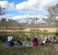 Canberra Nature Park - Accommodation Southport