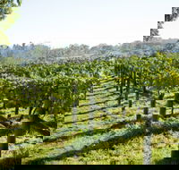 Surveyor's Hill Vineyards - Southport Accommodation