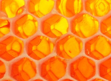 Mountain River TAS Accommodation Southport