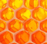 The Honey Pot - Accommodation Southport