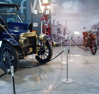 Wonders of Wynyard - The