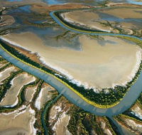 The Wilderness Gallery - Accommodation Southport