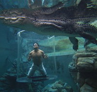 Crocosaurus Cove - Southport Accommodation