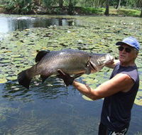 Barra Feeding - Accommodation Southport