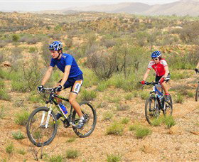 Araluen Mountain Bike Trails - Accommodation Southport 0