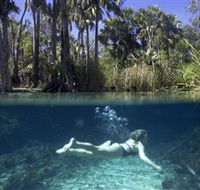 Bitter Springs - Southport Accommodation