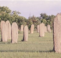 Magnetic Termite Mounds - Accommodation Southport