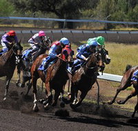 Alice Springs Turf Club - Southport Accommodation