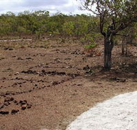 Wurrwurrwuy Garanhan Macassan Beach Interpretive Walk - Southport Accommodation