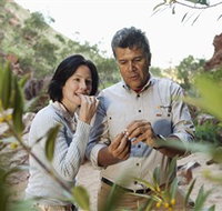 Simpsons Gap - Southport Accommodation