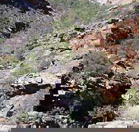 Serpentine Chalet Bush Camping Area - Southport Accommodation