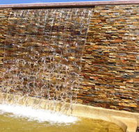 Howard Springs Nature Park - Accommodation Southport