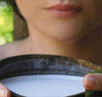 Ikatan Day Spa - Accommodation Southport