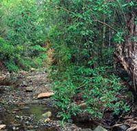 Mudlo National Park - Southport Accommodation