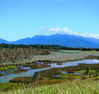 Eubenangee Swamp National Park - Southport Accommodation
