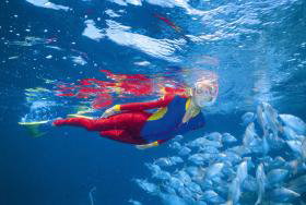 Pixie Pinnacle Dive Site - Southport Accommodation 0