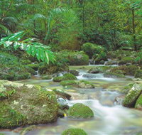 Mossman Gorge Daintree National Park - Southport Accommodation