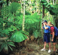 Mount Sorrow Ridge Trail Daintree National Park - Southport Accommodation