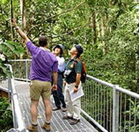 Daintree Discovery Centre - Southport Accommodation