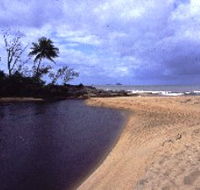 Russell River National Park - Southport Accommodation