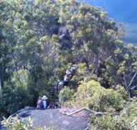 Mia Mia State Forest - Accommodation Southport