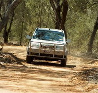 Ward River 4x4 Stock Route Trail - Accommodation Southport
