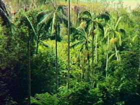 Mungungo QLD Southport Accommodation