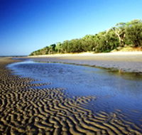 Burrum Coast National Park - Accommodation Southport
