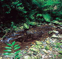 Wompoo Walk - Accommodation Southport