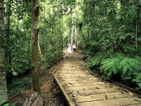 Glen Allyn QLD Southport Accommodation