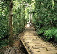 Lake Barrine Circuit Track Crater Lakes National Park - Southport Accommodation