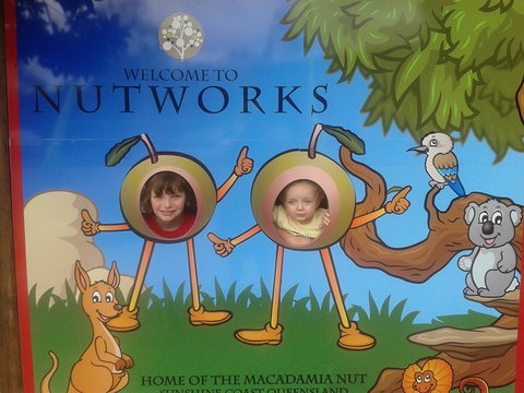 Nutworks - Accommodation Southport 4