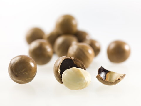 Nutworks - Accommodation Southport 5