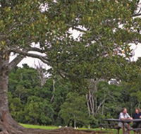 Ravensbourne National Park - Southport Accommodation