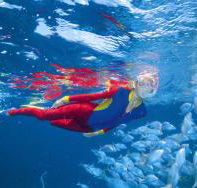 Outer Rocks Dive Site - Accommodation Southport