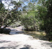 Davies Creek National Park and Dinden National Park - Southport Accommodation