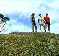 Coongarra Rock - Southport Accommodation