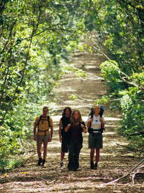 Wet Tropics Great Walk - Southport Accommodation 0